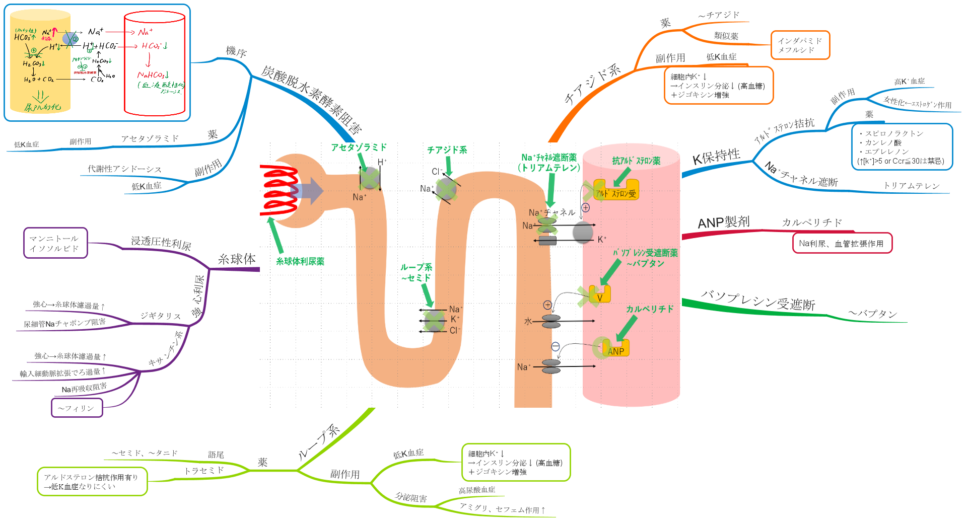 利尿薬の副作用
