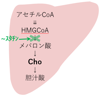 HMG-CoA還元酵素　コレステロール　生成　阻害　薬　スタチン系