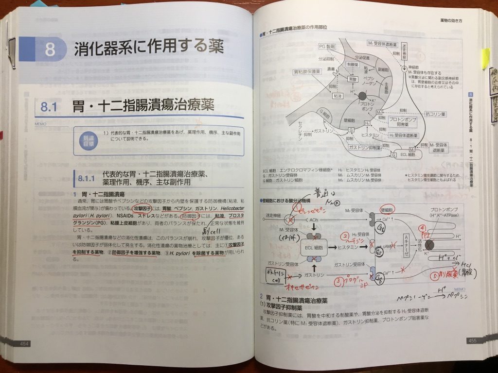 ノート代わりにマインドマップを使うコツ と 書き方の例 マインドマップ薬学