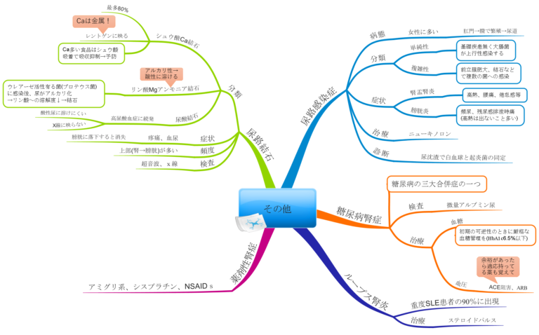 尿路感染症の原因、リスクグループ、予防