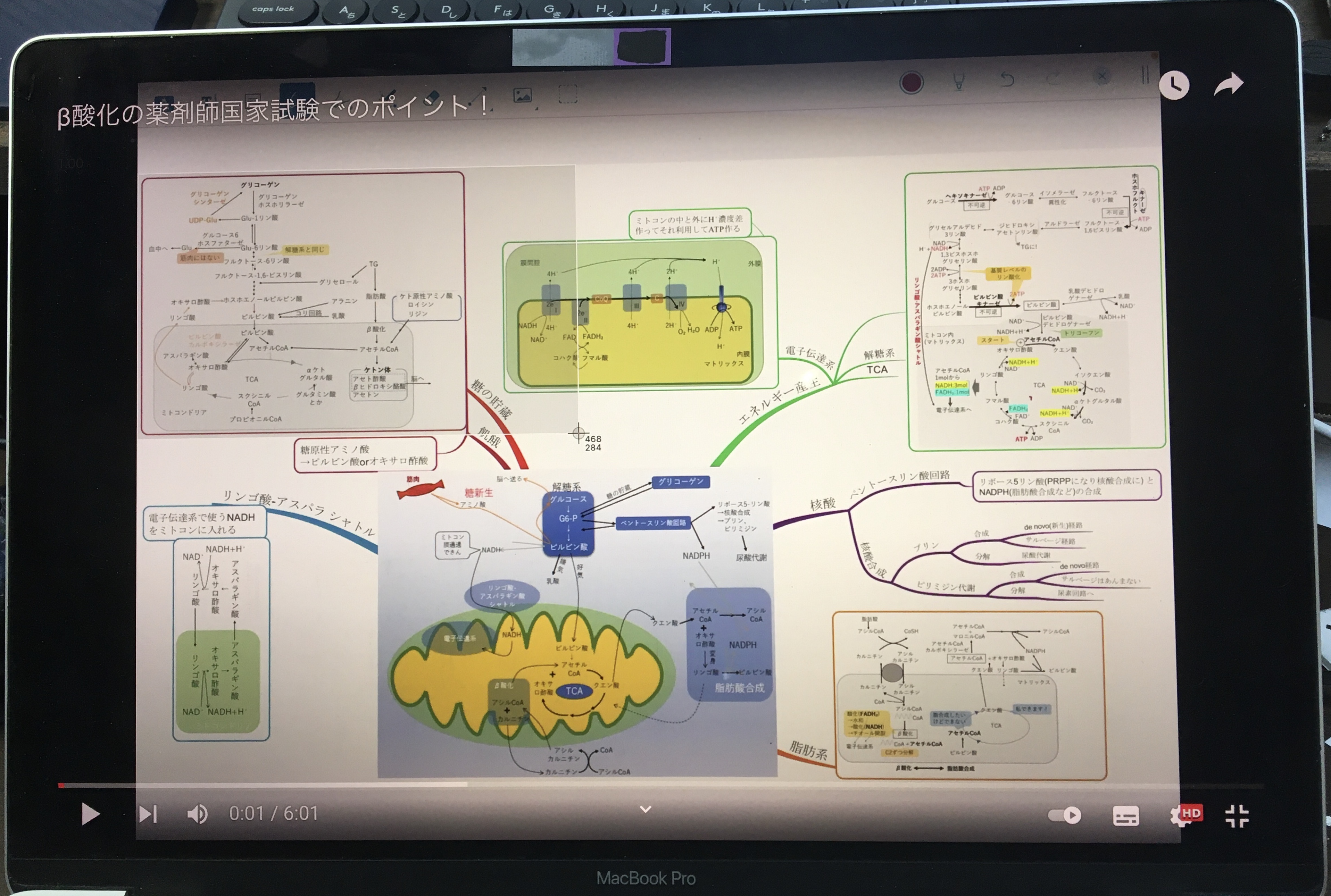 マインドマップソフト | Buzan's iMindMap Ver.4 | イーフロンティア