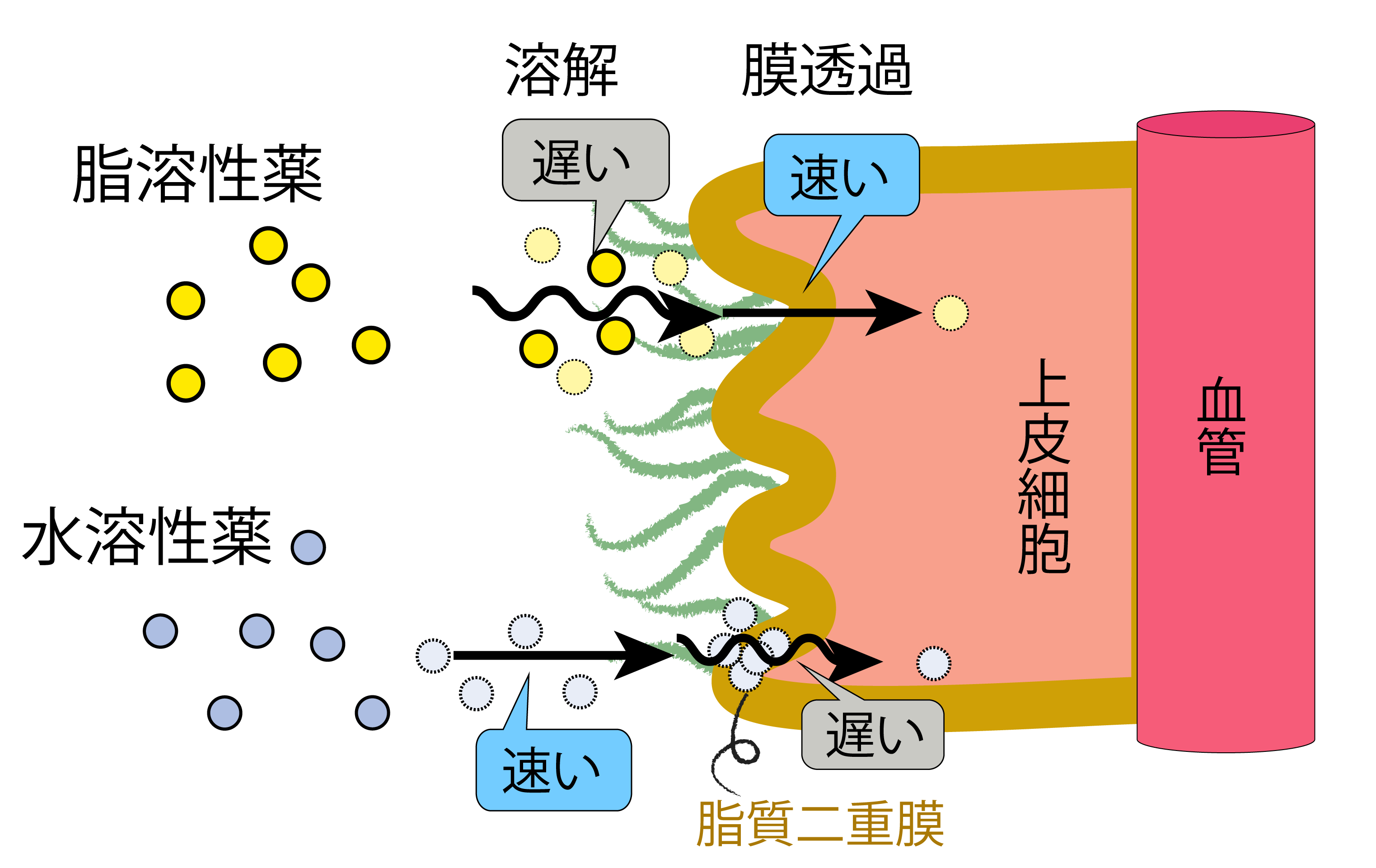 細胞毒性物質の種類
