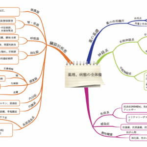 病態薬理のマインドマップ