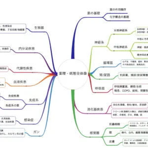 病態薬理のマインドマップ