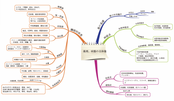 病態薬理のマインドマップ