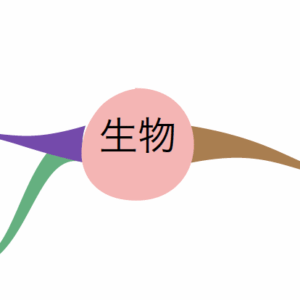 生物のマインドマップ