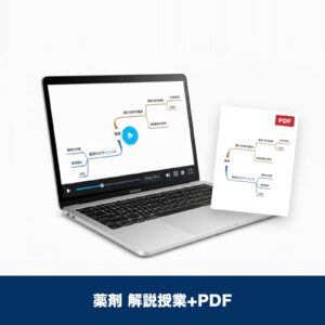薬剤のマインドマップPDF+解説授業セット(新規購入者向け)