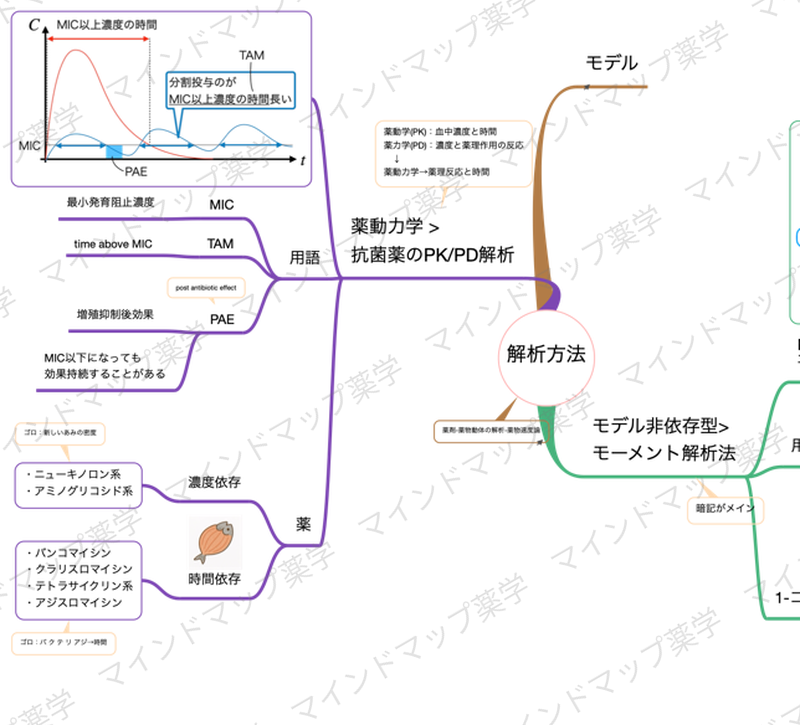 PK/PD解析のマインドマップ