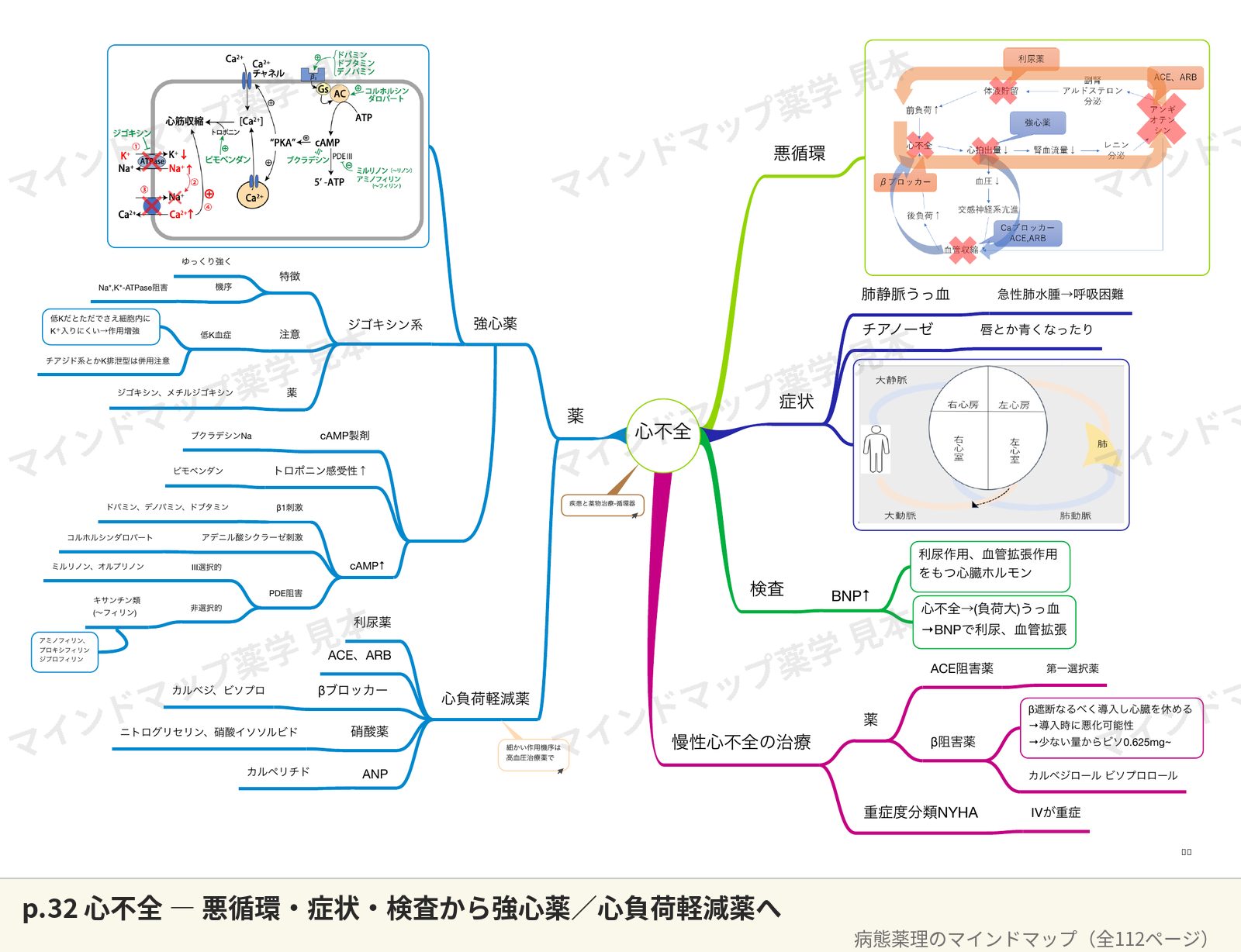 病態薬理のマインドマップ p.32 心不全のページ