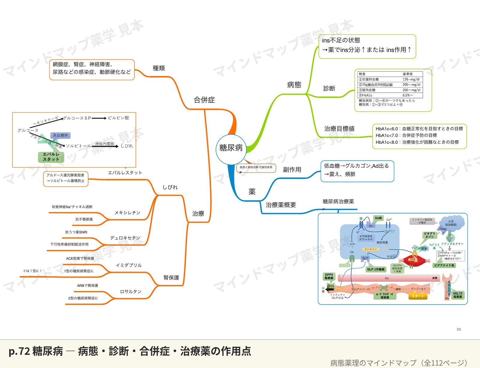 病態薬理のマインドマップ p.72 糖尿病のページ