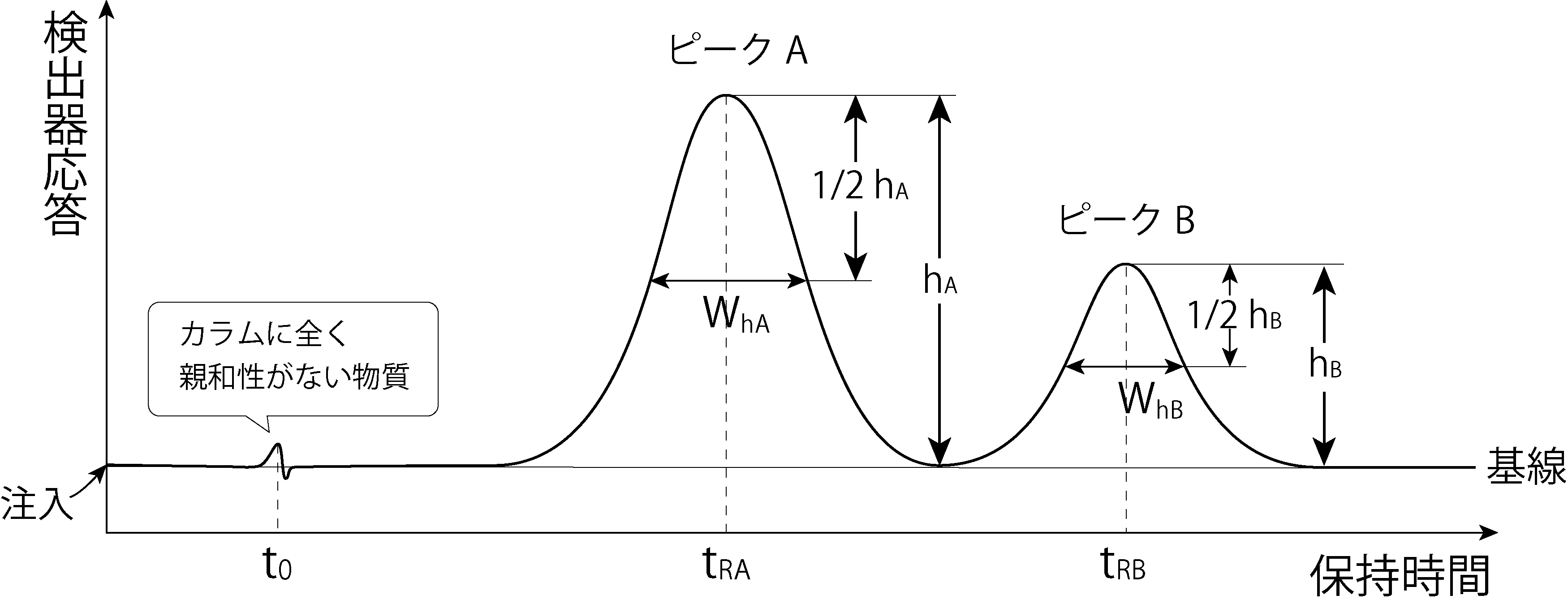 クロマトグラムの見方(t0、tRA、tRB、Wh)