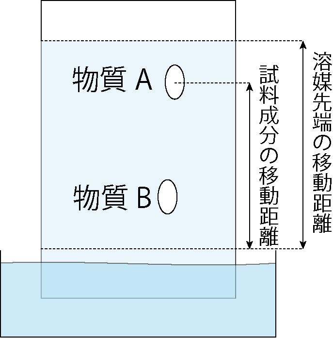薄層クロマトグラフィー:板を展開槽に立て、溶媒が上がっていく