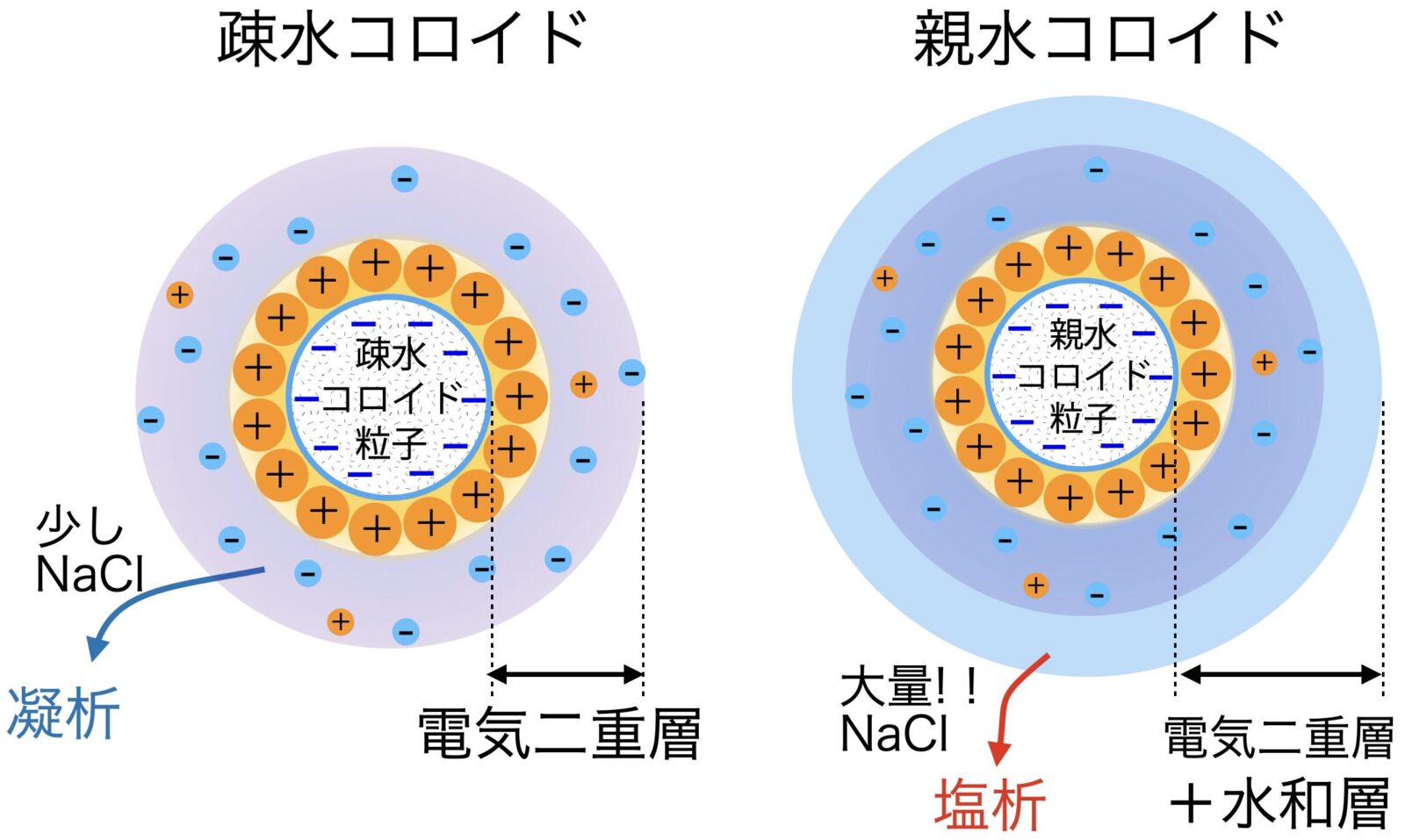 凝析と塩析