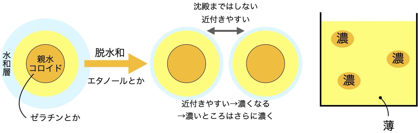 コアセルベーション