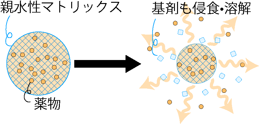 親水性マトリックス