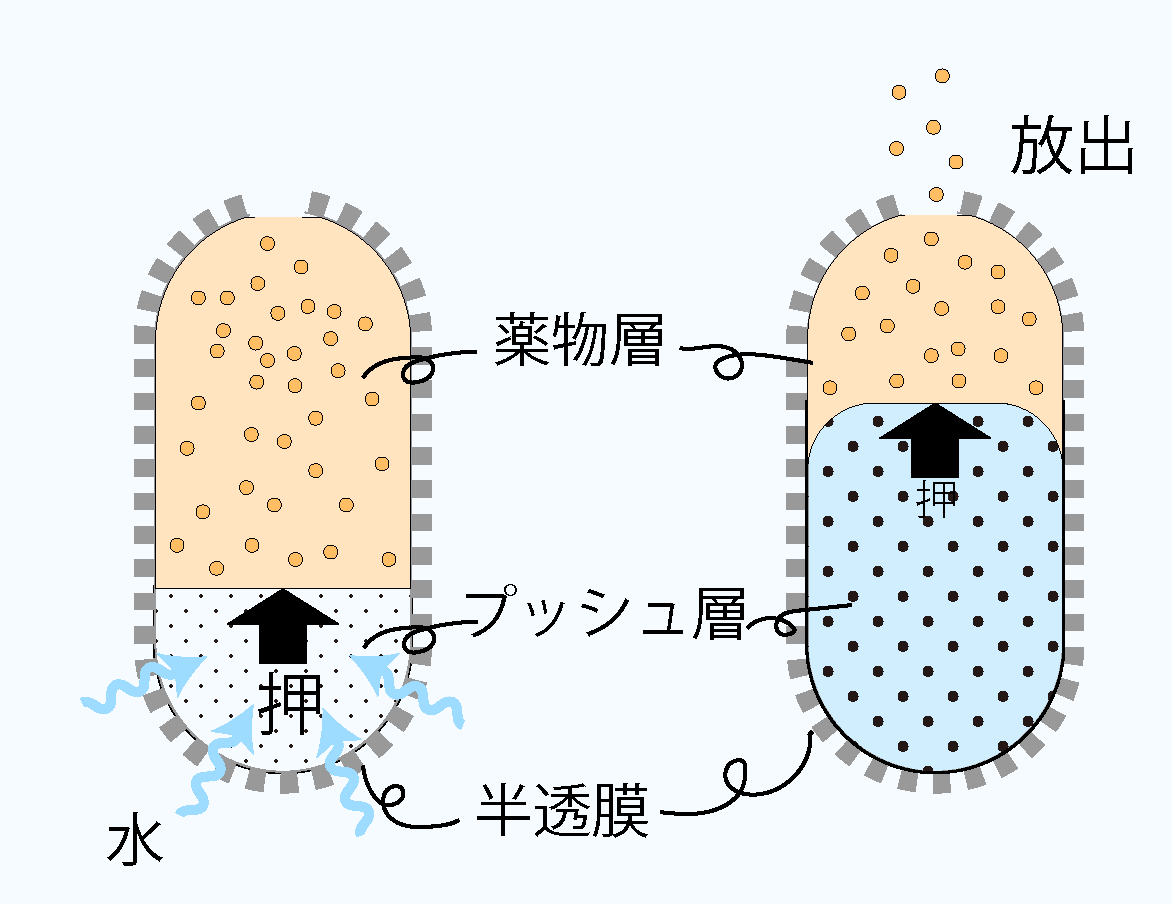 浸透圧ポンプ型(OROS)