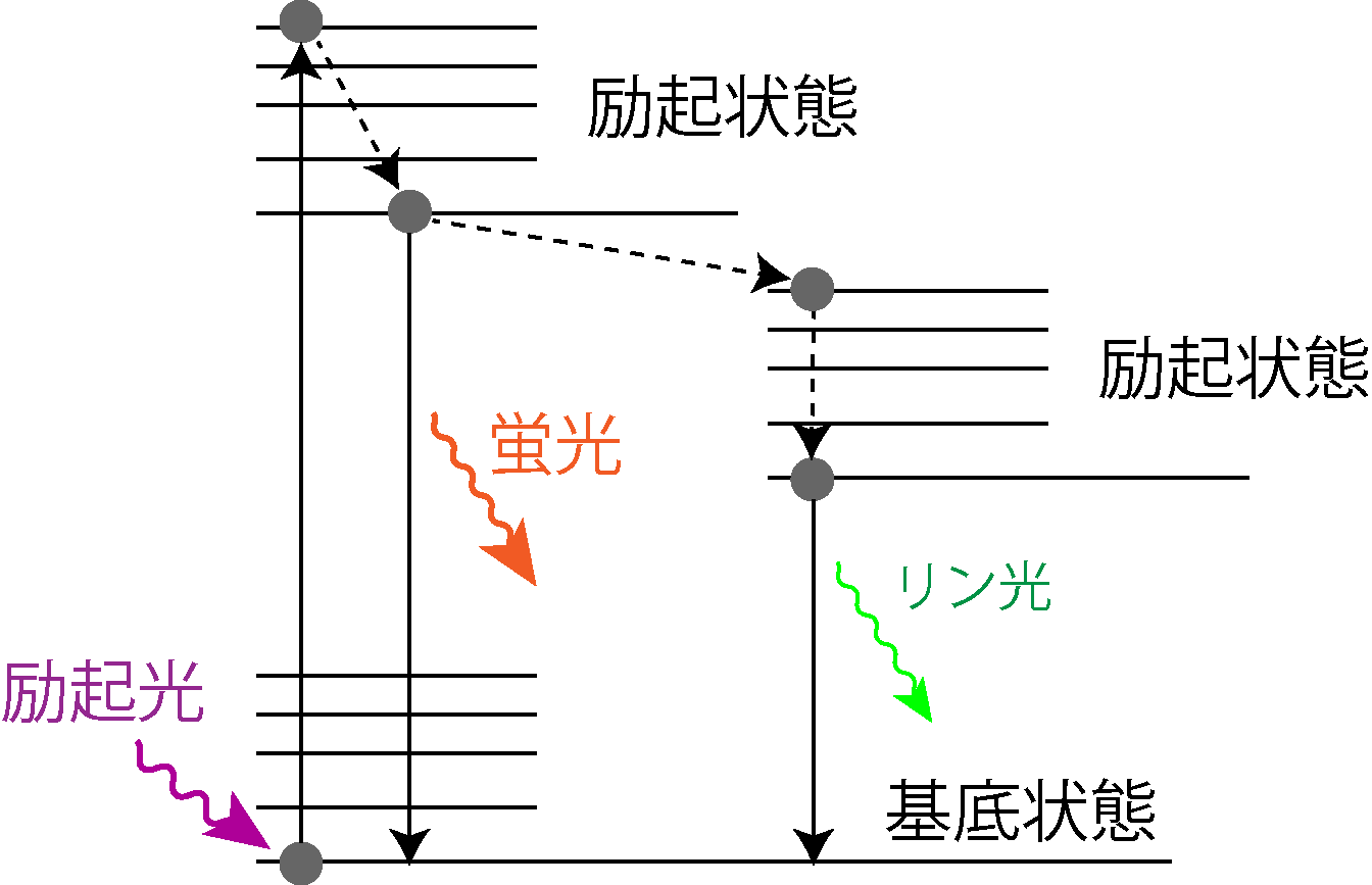 蛍光と燐光の電子遷移