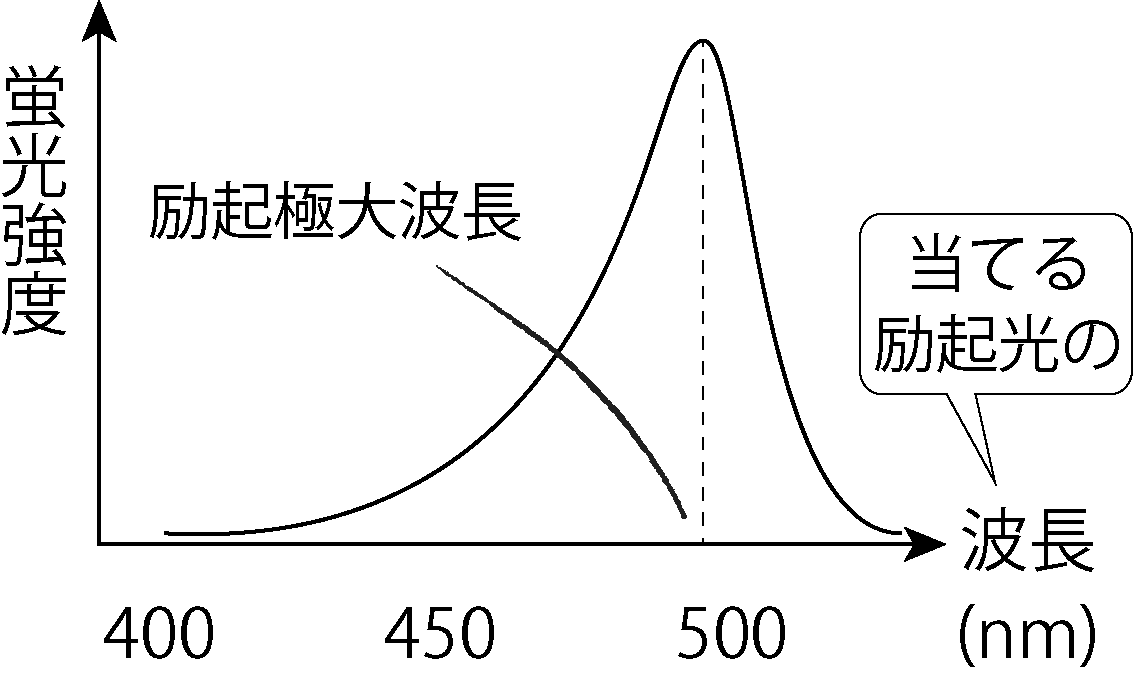 励起スペクトル
