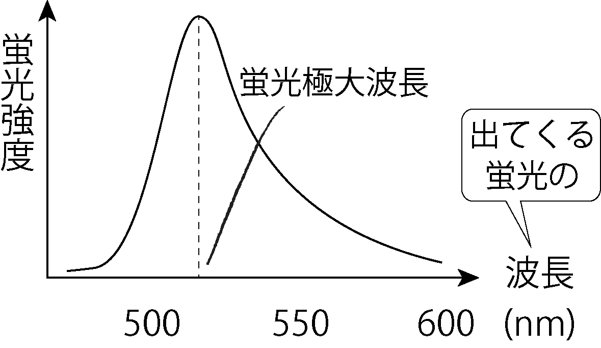 蛍光スペクトル