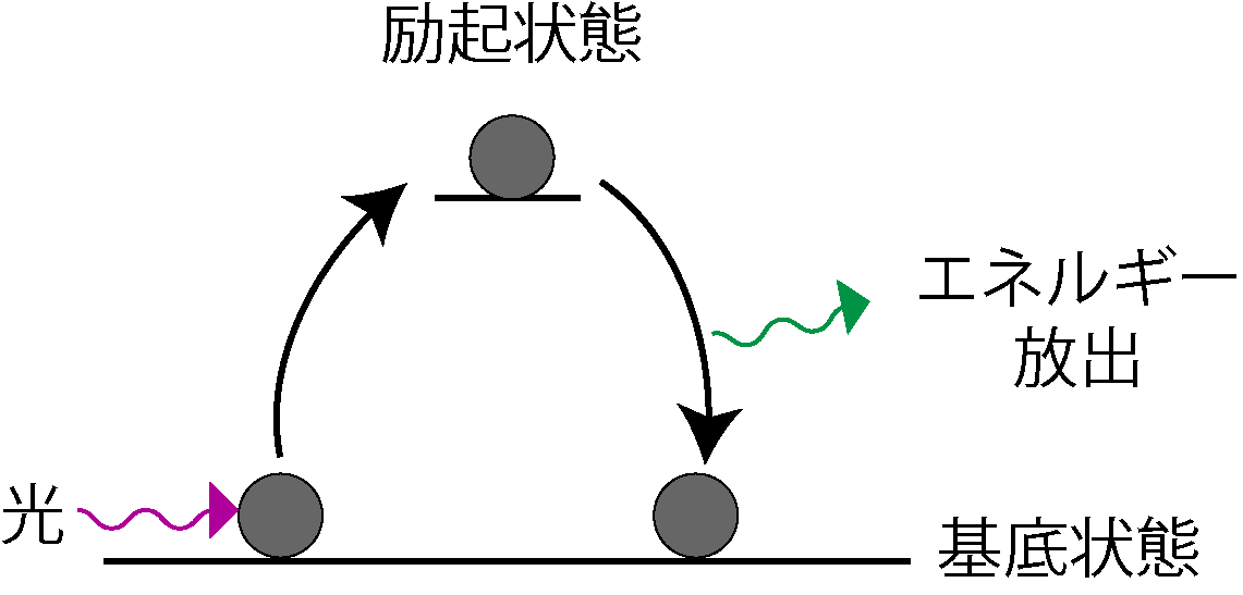 紫外可視吸光度測定法と蛍光光度法のイメージ