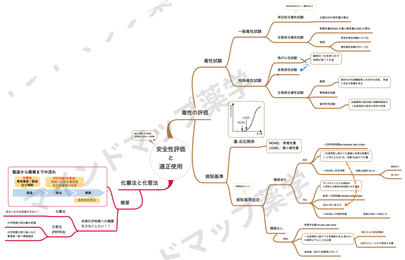 安全性評価と適正使用のマインドマップ