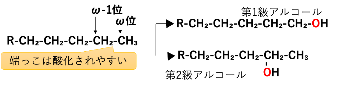 アルキル基の酸化 ω位とω-1位