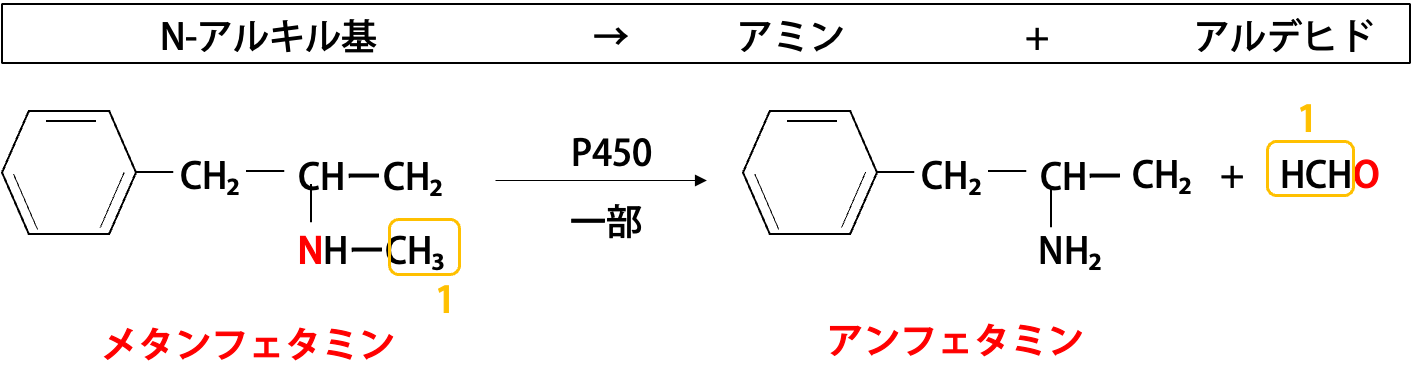 N-脱アルキル化 メタンフェタミンからアンフェタミン