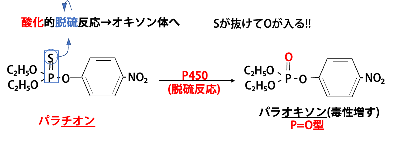 酸化的脱硫反応 パラチオンからパラオキソン