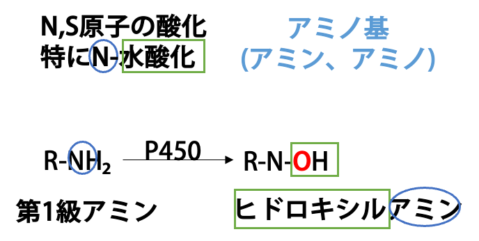 N-水酸化の概要