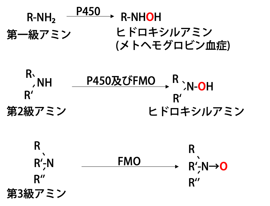 1級・2級・3級アミンのN-酸化