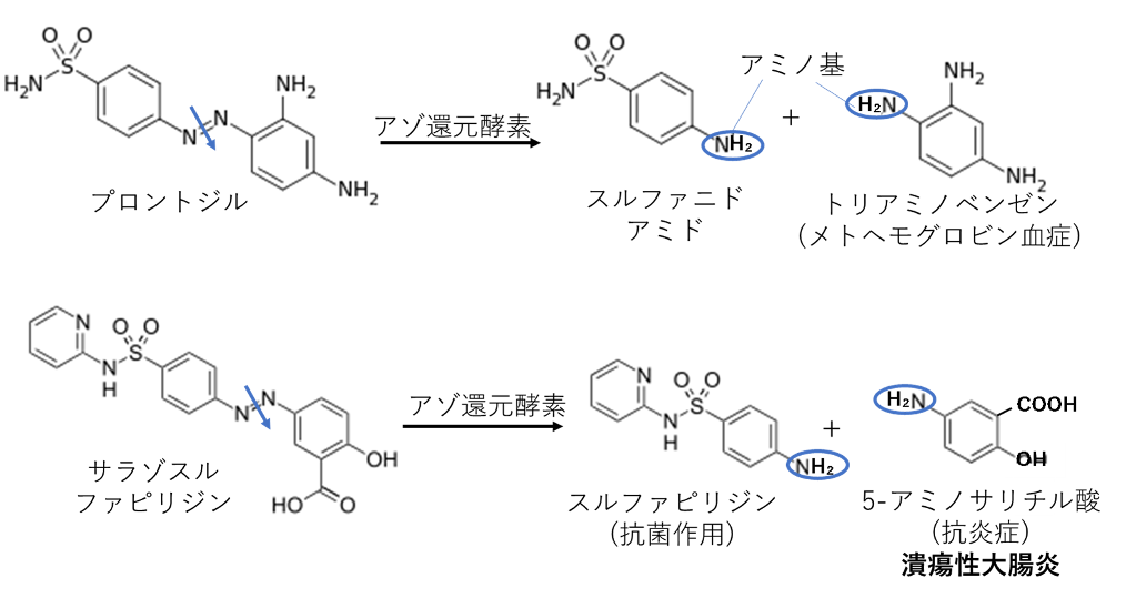 アゾ基の還元