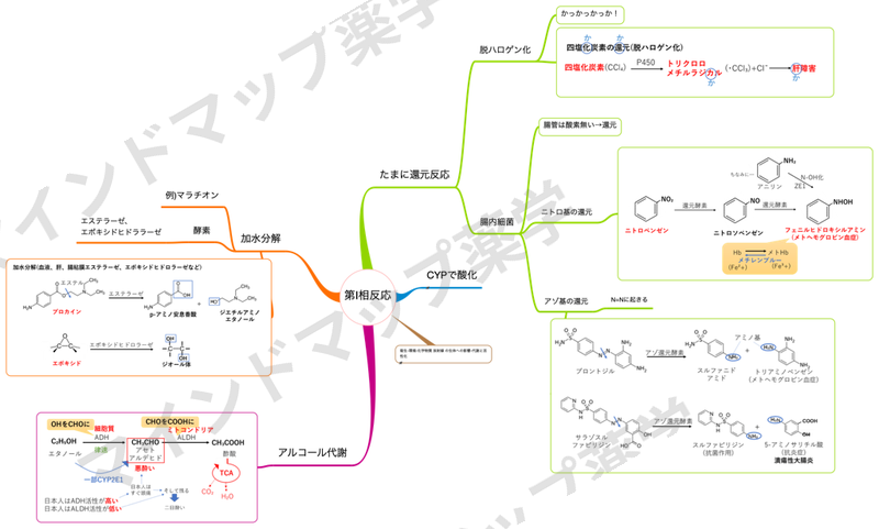 第Ⅰ相反応のマインドマップ