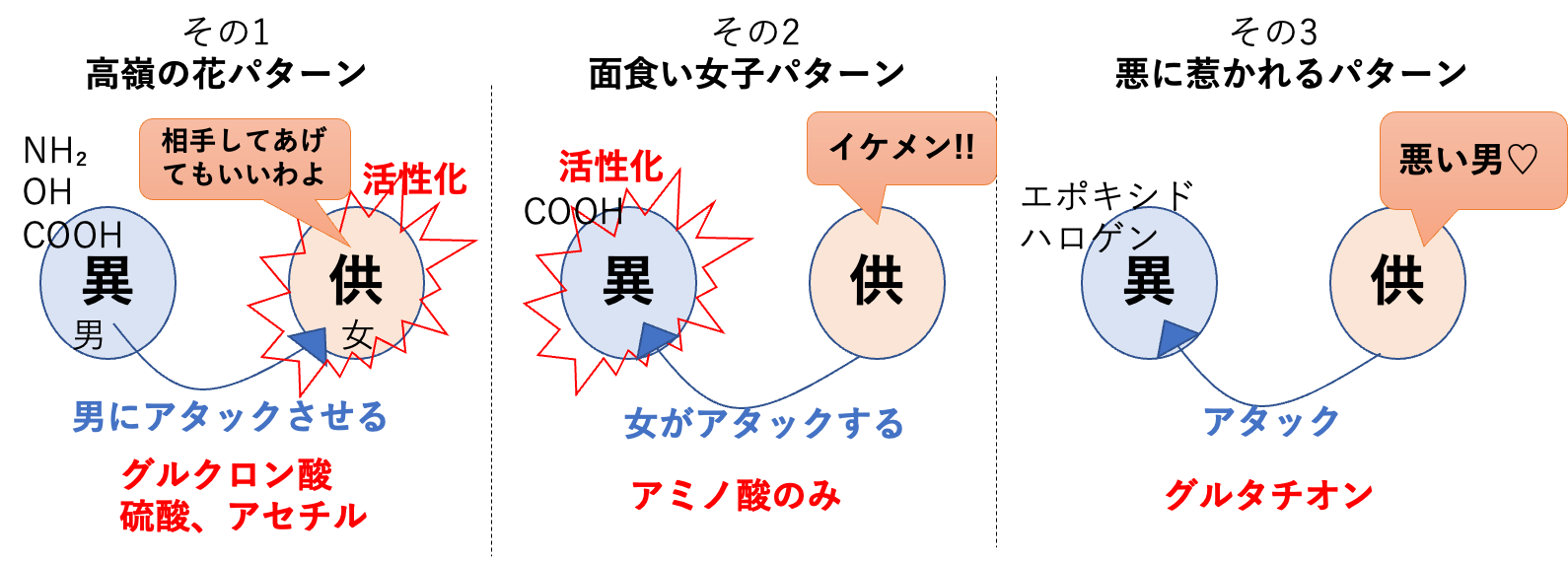 抱合反応の3パターン