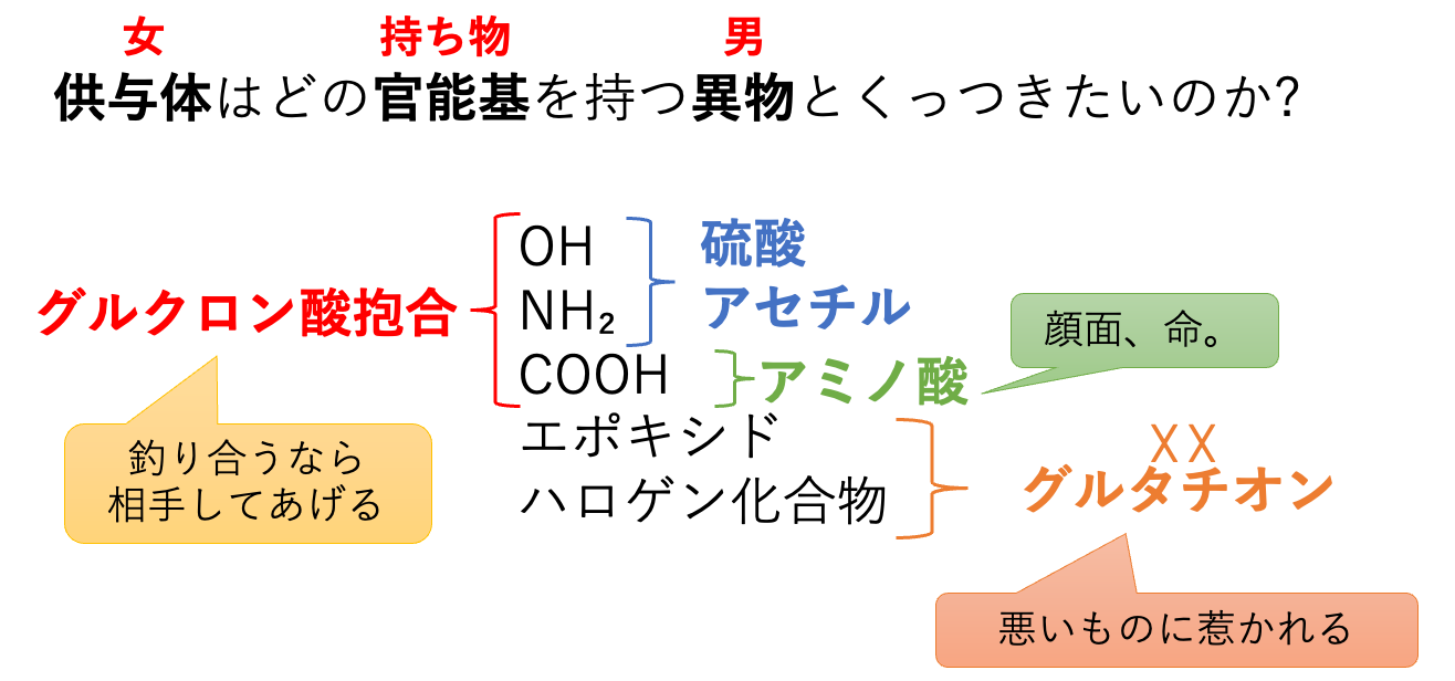 官能基と抱合の対応