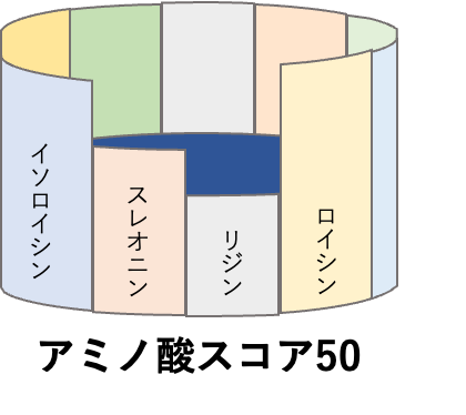 アミノ酸スコアの桶