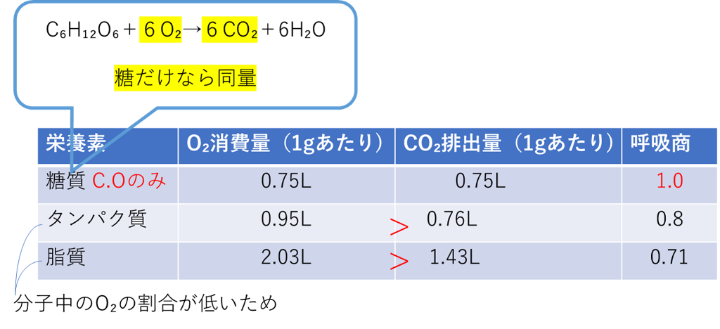 栄養素ごとの呼吸商