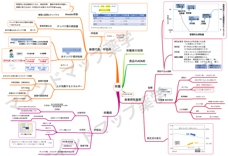 栄養と健康のマインドマップ