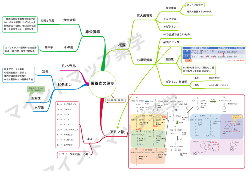 栄養素の役割のマインドマップ