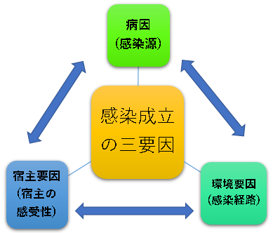 三角形モデル