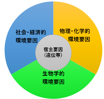 車輪モデル