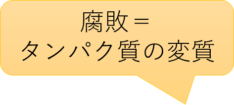 腐敗=タンパク質の変質