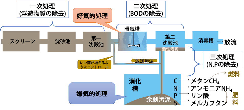 標準活性汚泥法の流れ