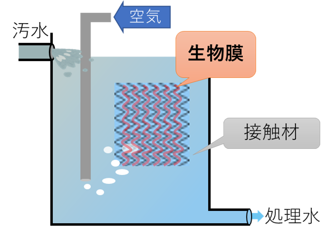 接触曝気法