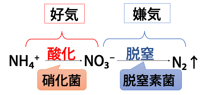 生物学的脱窒素法