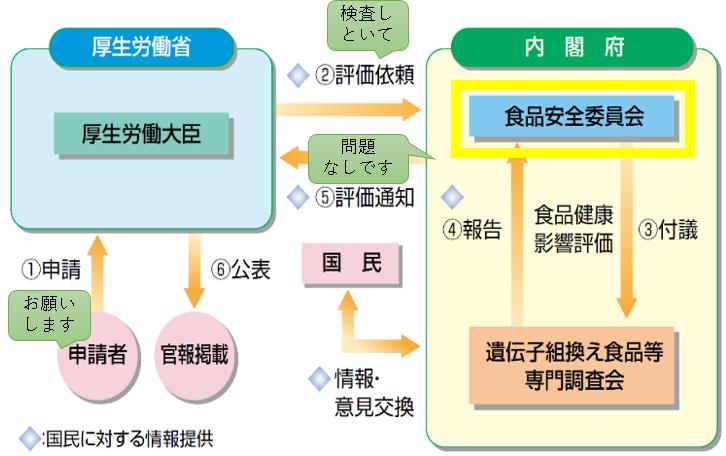安全性審査の流れ