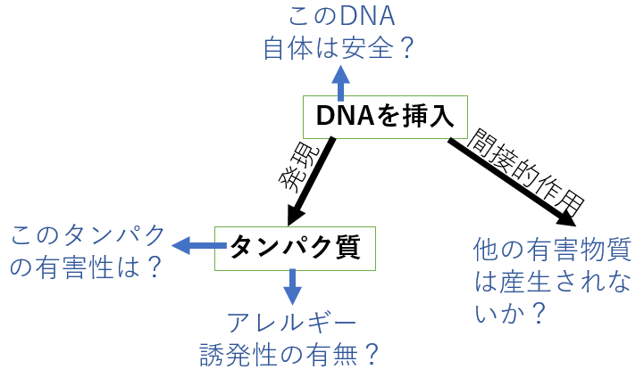 安全性審査の項目