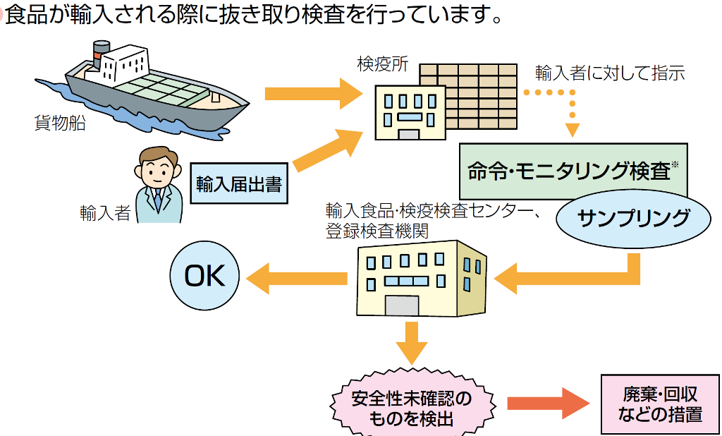 輸入時の検査の流れ