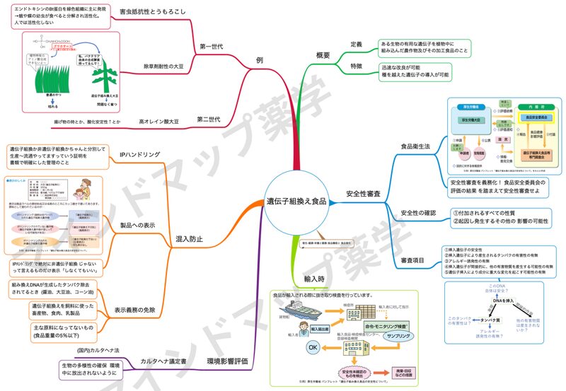 遺伝子組換え食品のマインドマップ