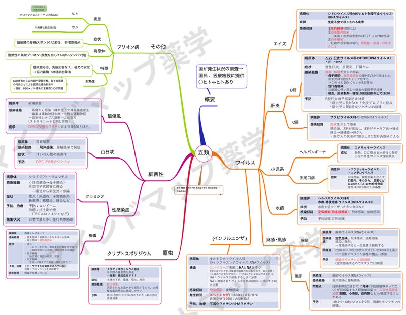 五類感染症のマインドマップ