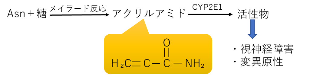 アクリルアミドの生成と毒性